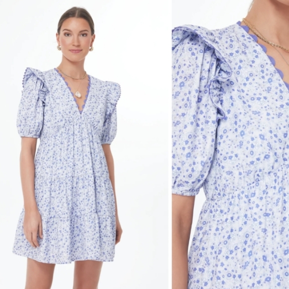 Tuckernuck Dresses & Skirts - Tuckernuck Ric Rac Leonie Mini Dress by Hyacinth House  Floral Size Medium